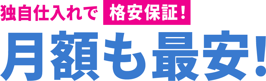 理由3：独自仕入れで格安保証！月額も最安！